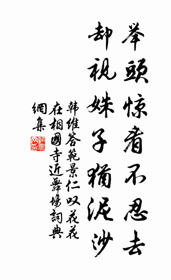 韩维举头惊看不忍去，却视姝子犹泥沙书法作品欣赏