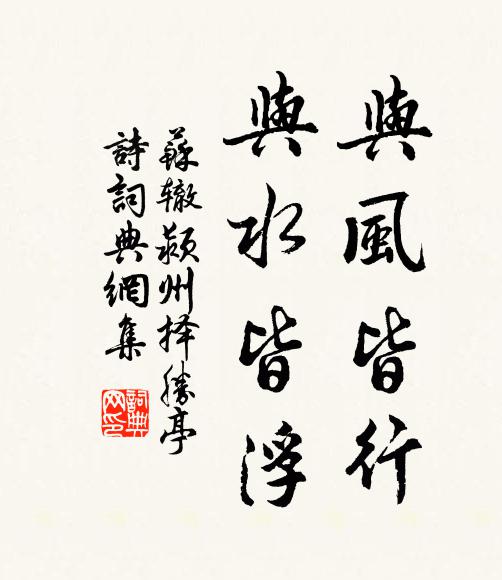 苏辙与风皆行，与水皆浮书法作品欣赏