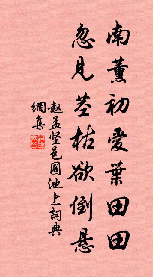 赵孟坚南薰初爱叶田田，忽见茎枯欲倒悬书法作品欣赏