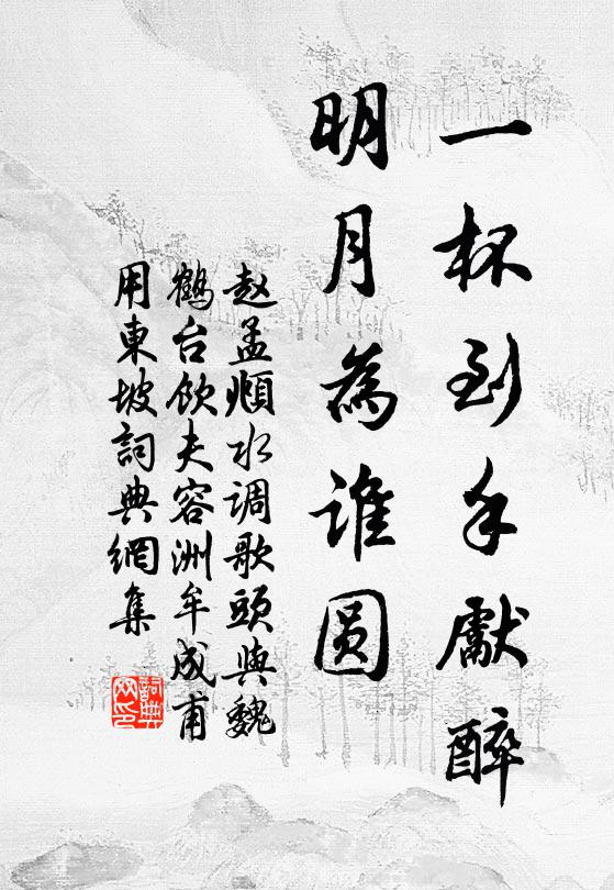 赵孟頫一杯到手先醉，明月为谁圆书法作品欣赏