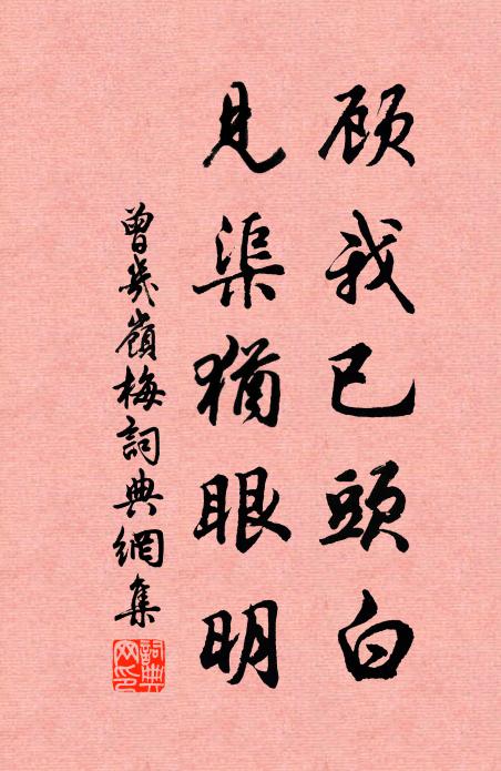 曾几顾我已头白，见渠犹眼明书法作品欣赏