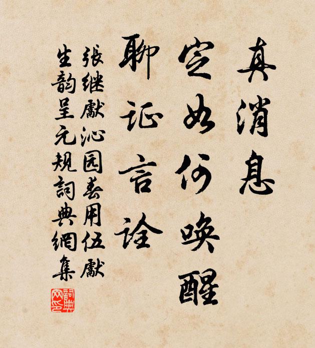 张继先真消息，定如何唤醒，聊证言诠书法作品欣赏