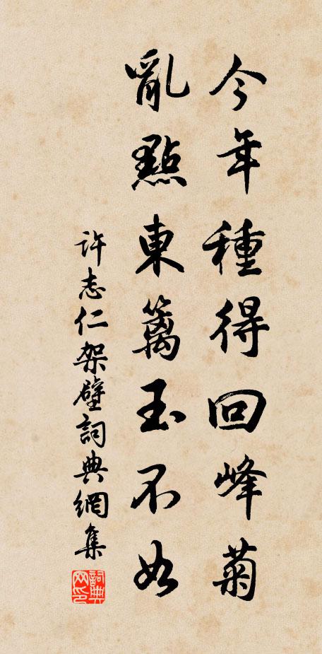 许志仁今年种得回峰菊，乱点东篱玉不如书法作品欣赏
