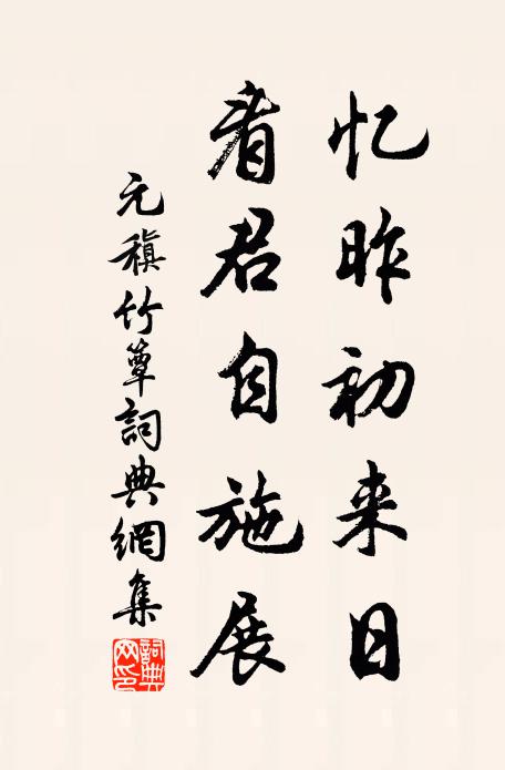 元稹忆昨初来日，看君自施展书法作品欣赏