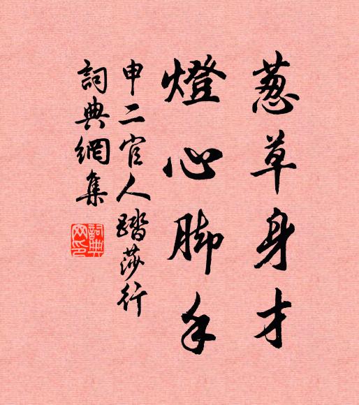 申二官人葱草身才、灯心脚手书法作品欣赏