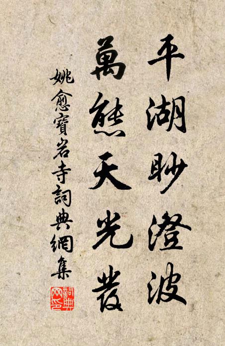 姚愈平湖眇澄波，万态天光发书法作品欣赏