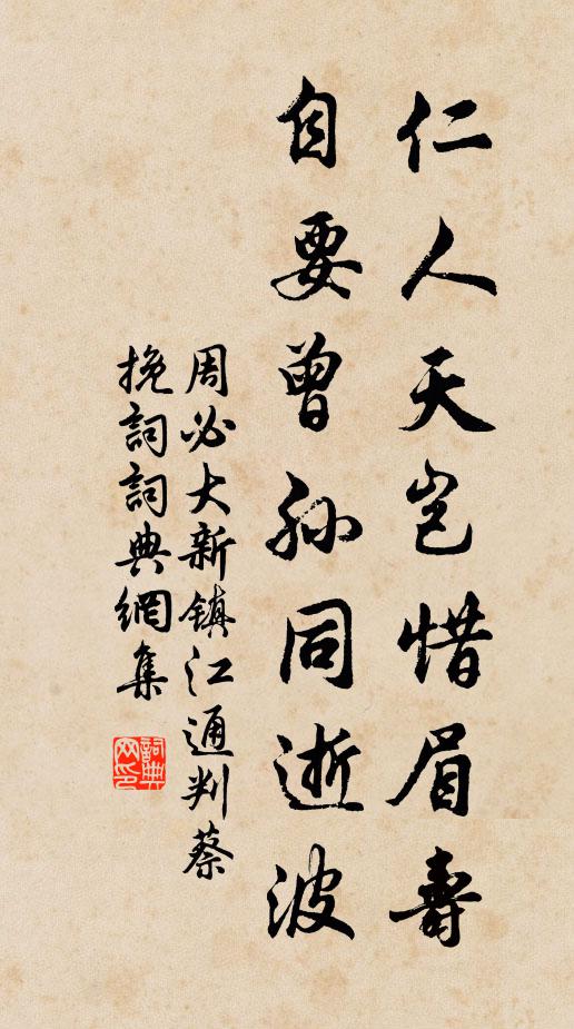 周必大仁人天岂惜眉寿，自要曾孙同逝波书法作品欣赏