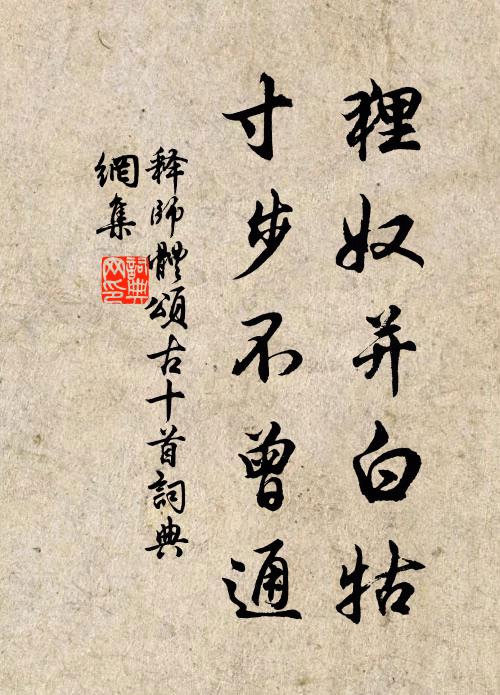 释师体狸奴并白牯，寸步不曾通书法作品欣赏
