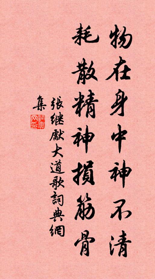 张继先物在身中神不清，耗散精神损筋骨书法作品欣赏
