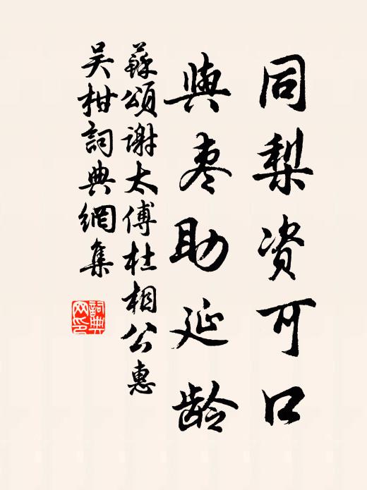 苏颂同梨资可口，与枣助延龄书法作品欣赏