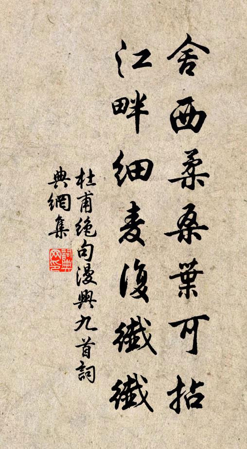 杜甫舍西柔桑叶可拈，江畔细麦复纤纤书法作品欣赏