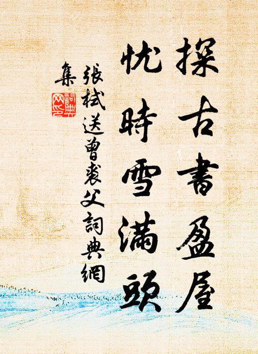 张栻探古书盈屋，忧时雪满头书法作品欣赏