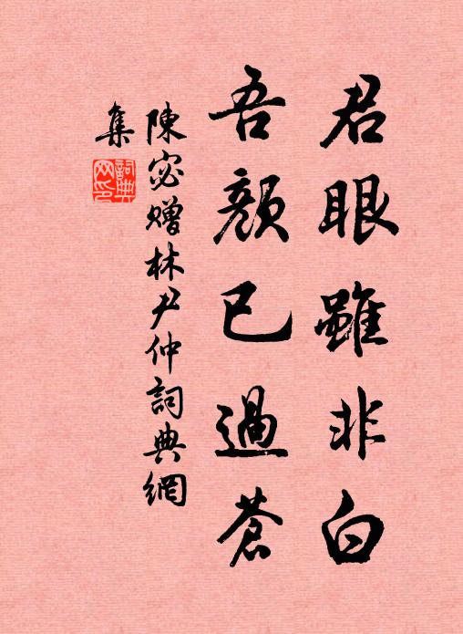陈宓君眼虽非白，吾颜已过苍书法作品欣赏