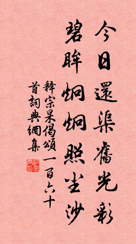 释宗杲今日还渠旧光彩，碧眸炯炯照尘沙书法作品欣赏