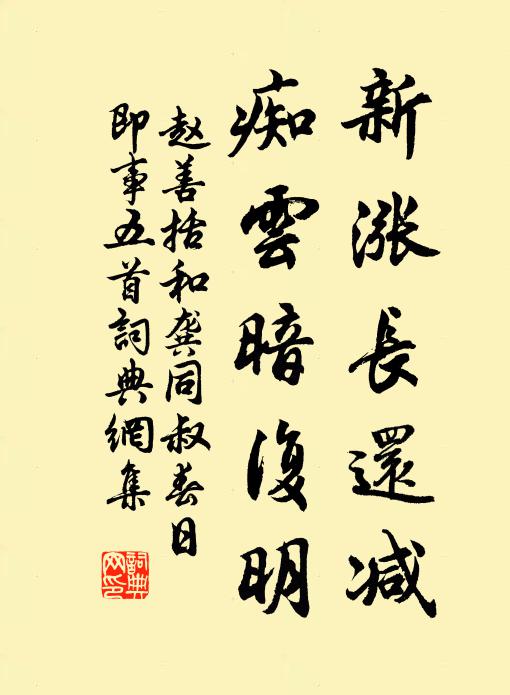 赵善括新涨长还减，痴云暗复明书法作品欣赏