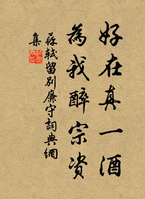 苏轼好在真一酒，为我醉宗资书法作品欣赏