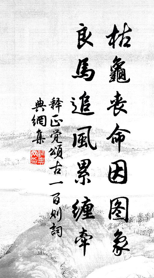 释正觉枯龟丧命因图象，良马追风累缠牵书法作品欣赏