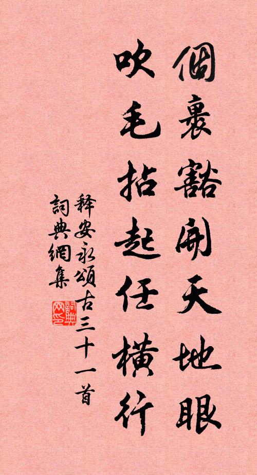 释安永个裹豁开天地眼，吹毛拈起任横行书法作品欣赏