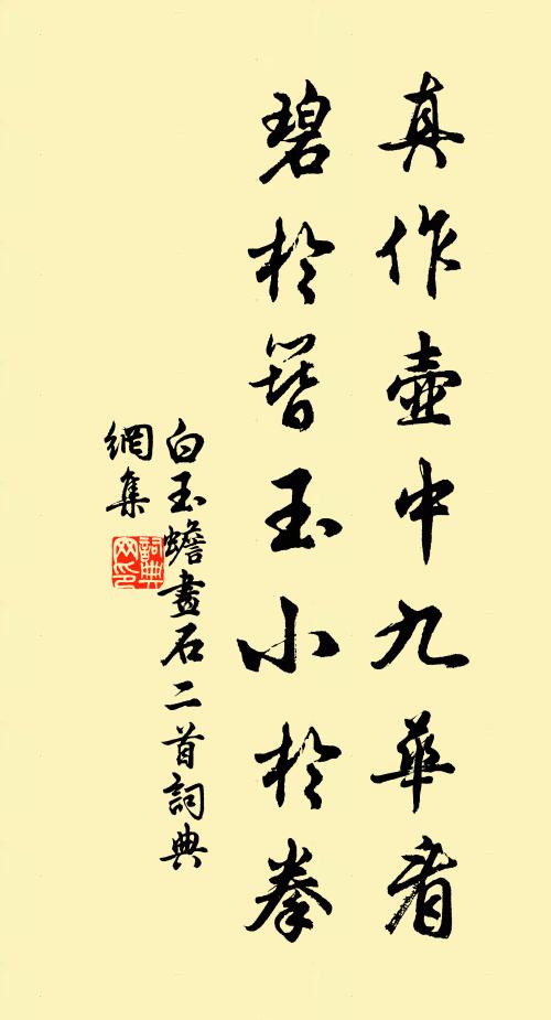 白玉蟾真作壶中九华看，碧于簪玉小于拳书法作品欣赏