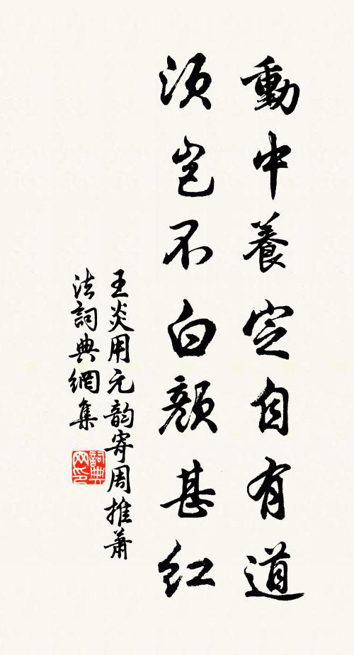 王炎动中养定自有道，须岂不白颜甚红书法作品欣赏