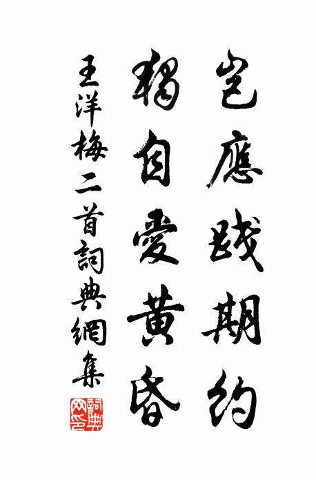 王洋岂应践期约，独自爱黄昏书法作品欣赏