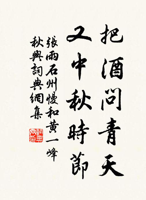 张雨把酒问青天，又中秋时节书法作品欣赏