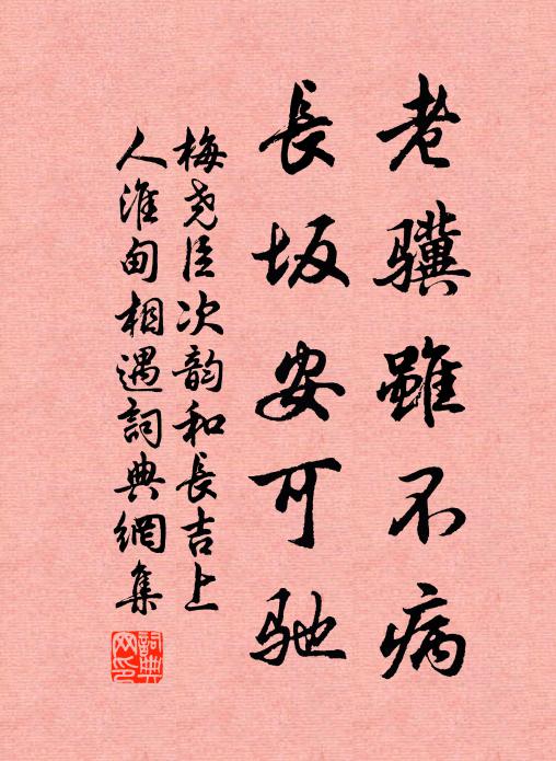 梅尧臣老骥虽不病,长坂安可驰书法作品欣赏