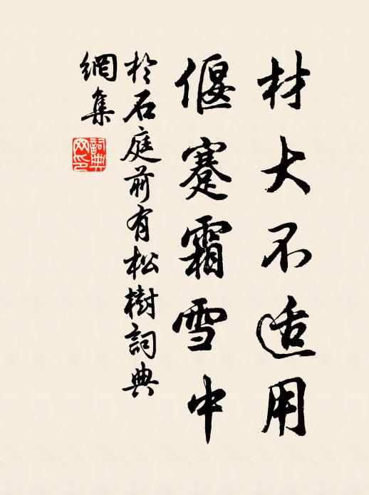 于石材大不适用，偃蹇霜雪中书法作品欣赏