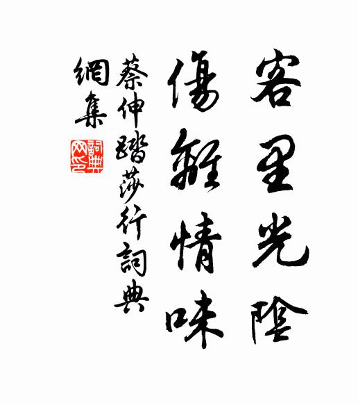 蔡伸客里光阴，伤离情味书法作品欣赏