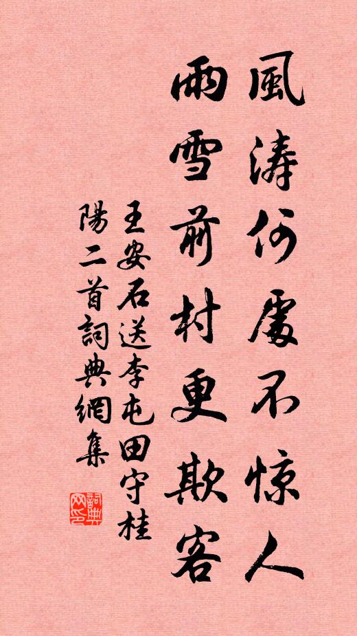 王安石风涛何处不惊人，雨雪前村更欺客书法作品欣赏