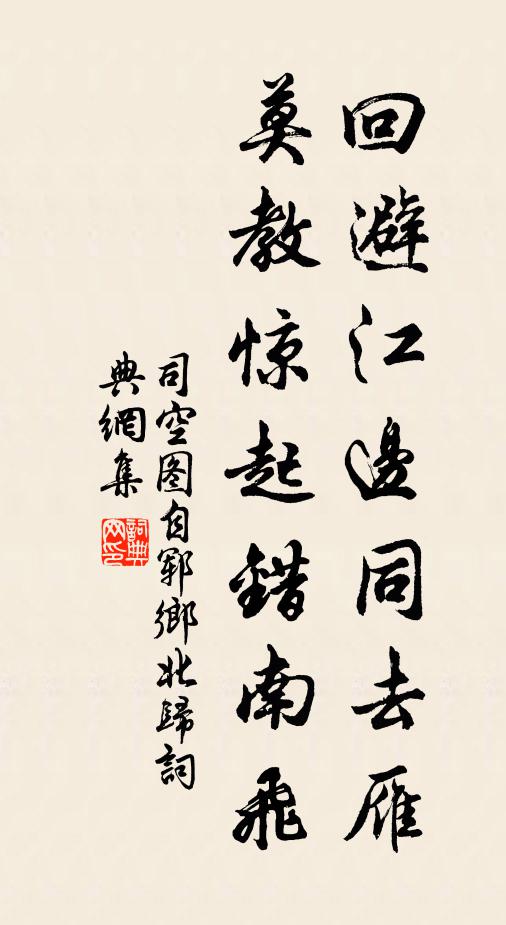 司空图回避江边同去雁，莫教惊起错南飞书法作品欣赏