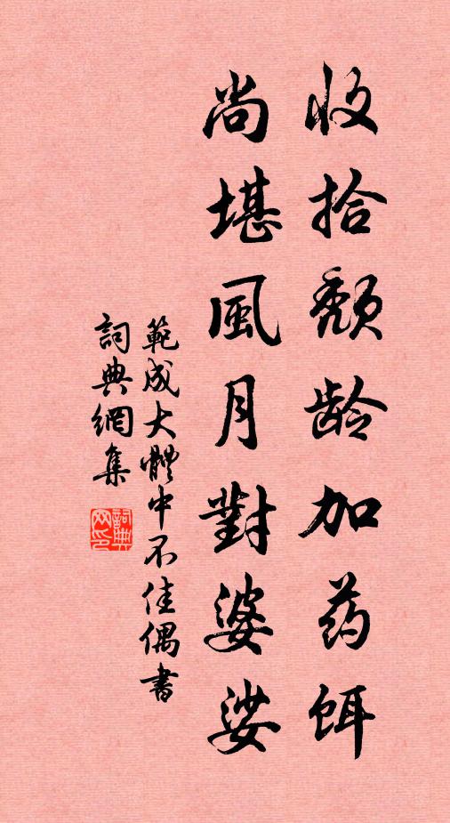 范成大收拾颓龄加药饵，尚堪风月对婆娑书法作品欣赏