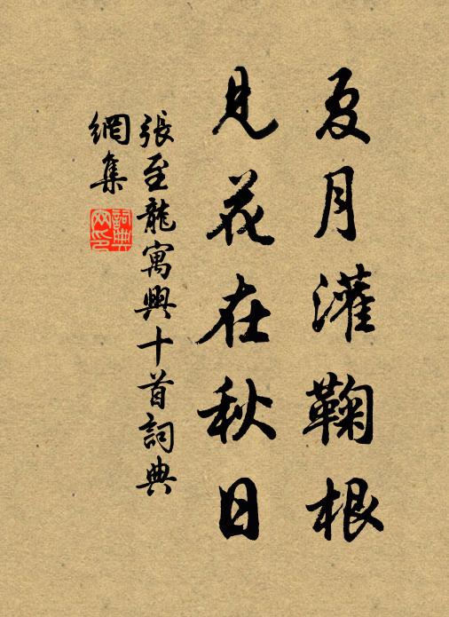 张至龙夏月灌鞠根，见花在秋日书法作品欣赏