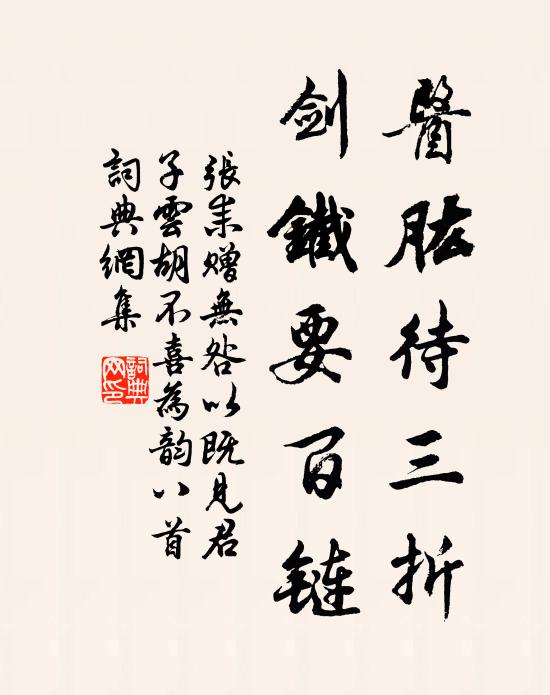 张耒医肱待三折，剑铁要百链书法作品欣赏