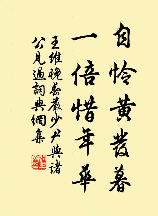 王维自怜黄发暮，一倍惜年华书法作品欣赏