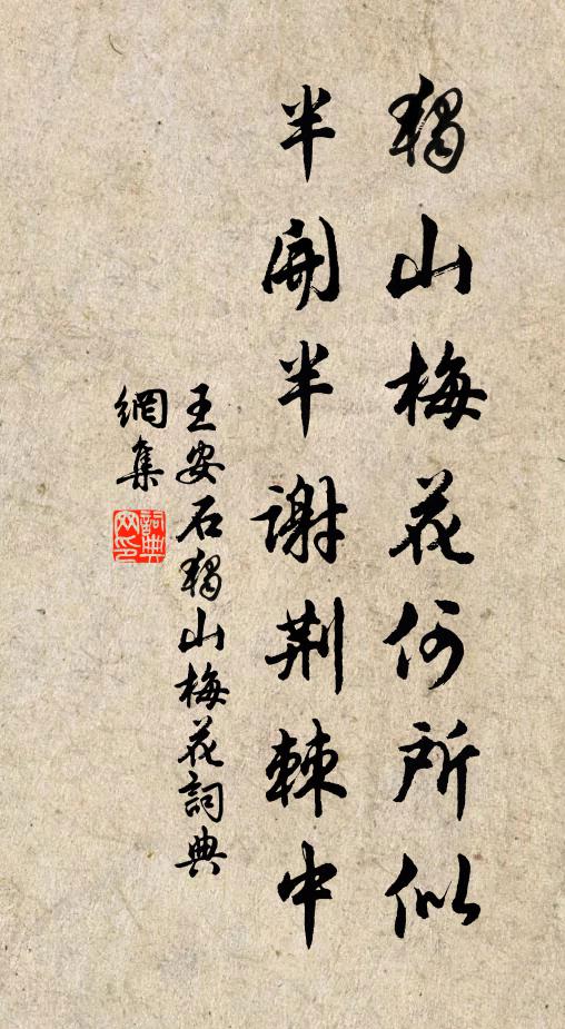 王安石独山梅花何所似，半开半谢荆棘中书法作品欣赏
