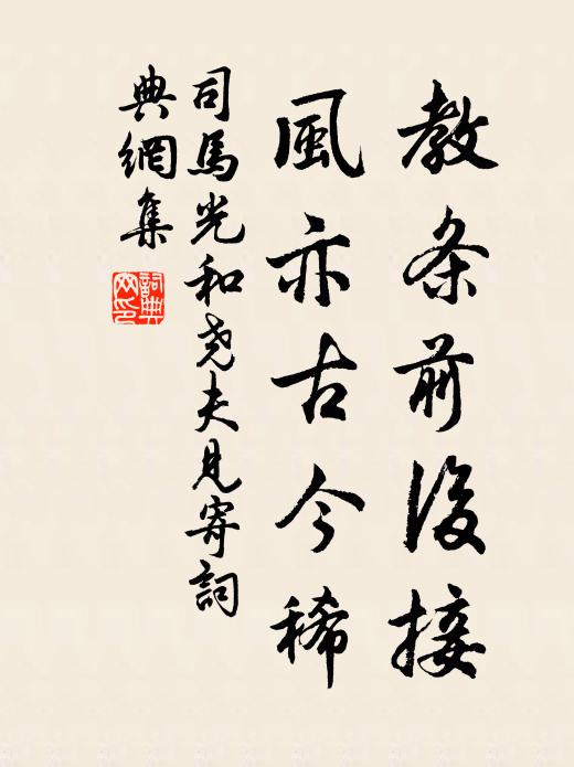 司马光教条前后接，风亦古今稀书法作品欣赏