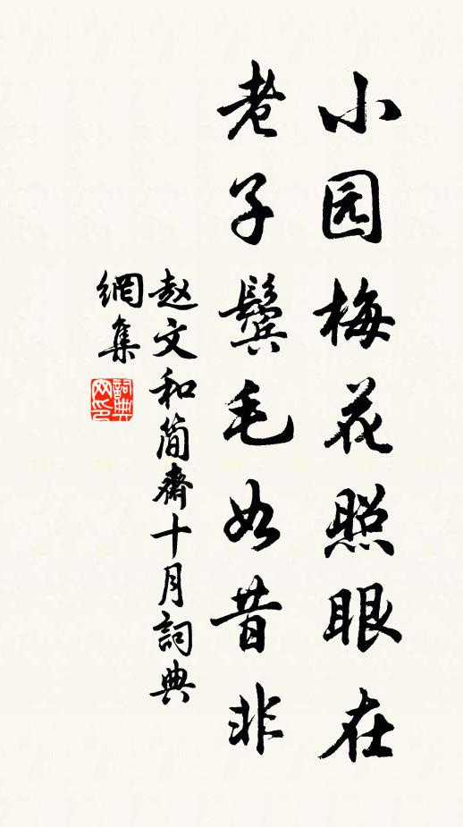 赵文小园梅花照眼在，老子鬓毛如昔非书法作品欣赏