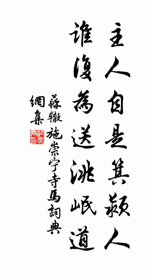 苏辙主人自是箕颍人,谁复为送洮岷道书法作品欣赏