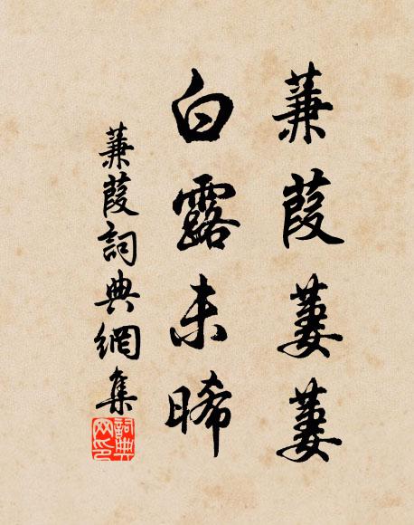 佚名蒹葭萋萋，白露未晞书法作品欣赏