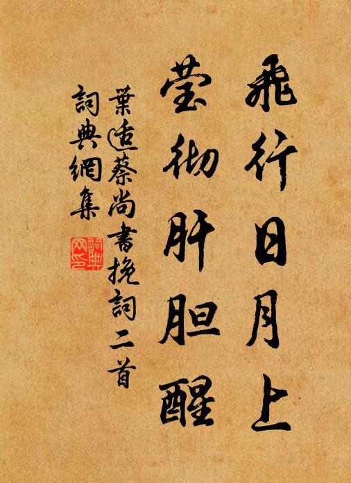 叶适飞行日月上，莹彻肝胆醒书法作品欣赏