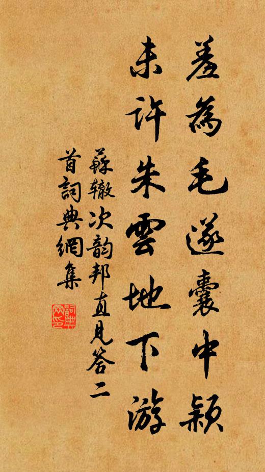 苏辙羞为毛遂囊中颖，未许朱云地下游书法作品欣赏