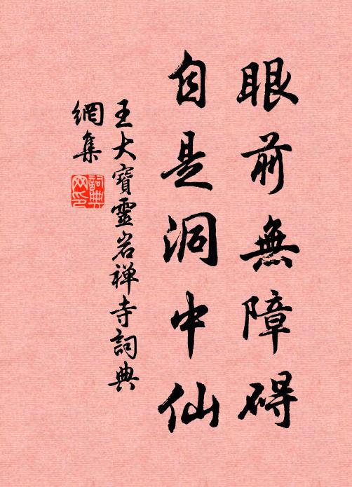 王大宝眼前无障碍，自是洞中仙书法作品欣赏