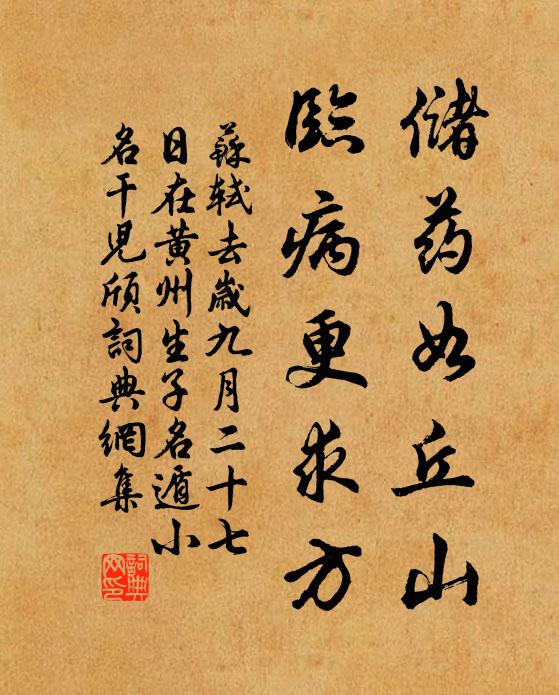 苏轼储药如丘山，临病更求方书法作品欣赏