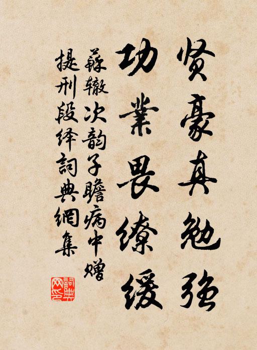 苏辙贤豪真勉强，功业畏缭缓书法作品欣赏