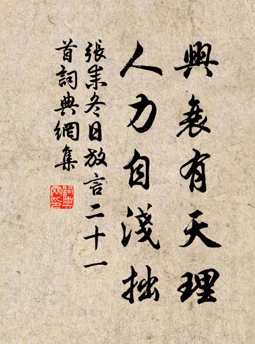 张耒兴衰有天理，人力自浅拙书法作品欣赏