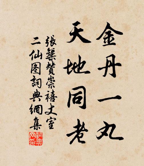 张榘金丹一丸，天地同老书法作品欣赏