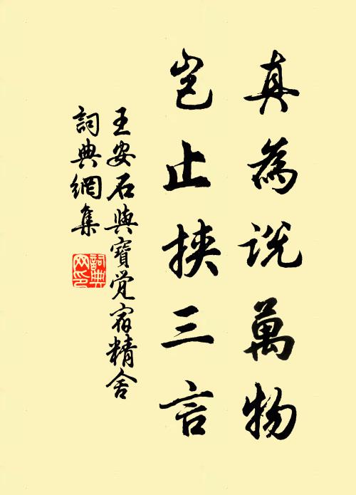 王安石真为说万物，岂止挟三言书法作品欣赏