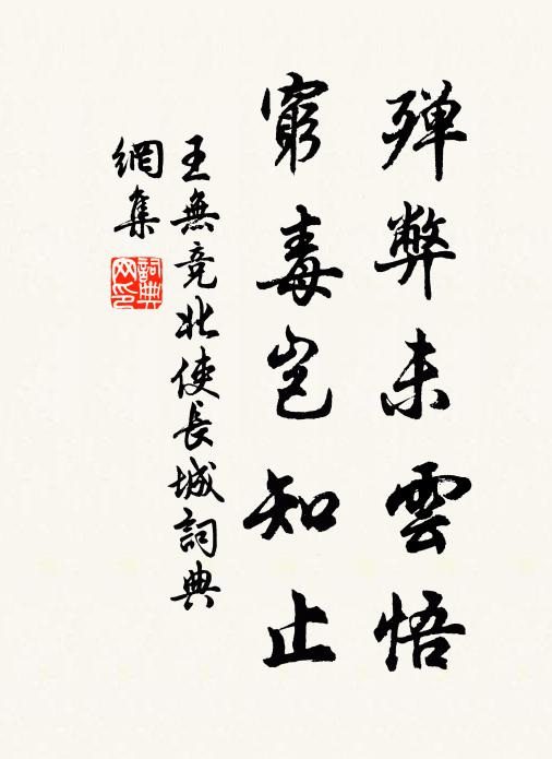 王无竞殚弊未云悟，穷毒岂知止书法作品欣赏