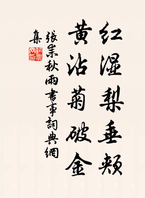 张耒红湿梨垂颊,黄沾菊破金书法作品欣赏